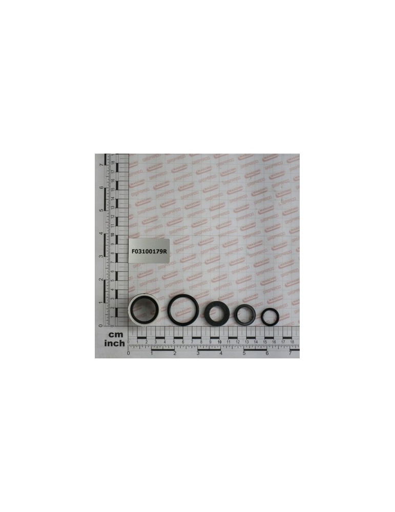 KIT O-RING  CYLINDER 07002278