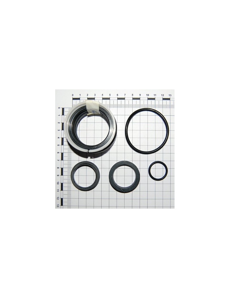 KIT O-RING  CYLINDER 13616210