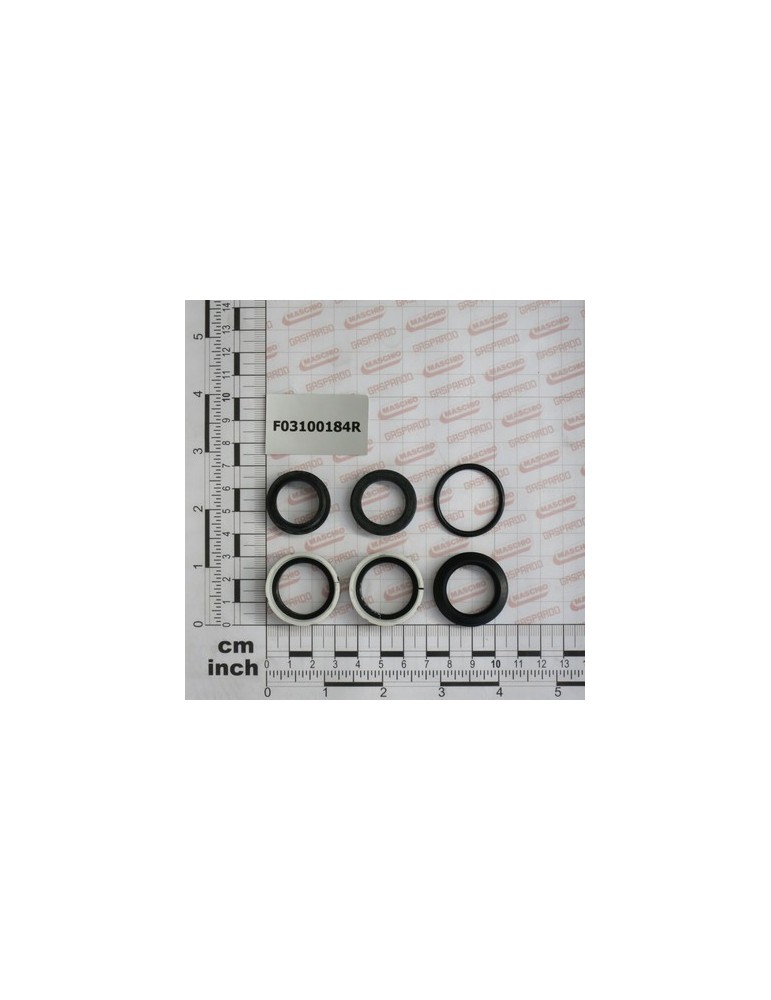 KIT O-RING  CYLINDER 15411160