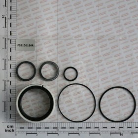 KIT O-RING  CYLINDER 15313210