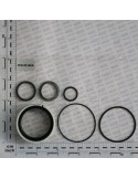 KIT O-RING  CYLINDER 15313210