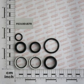 KIT O-RING  CYLINDER 15412580