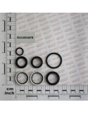 KIT O-RING  CYLINDER 15412580