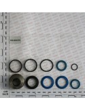 ROD SEAL KIT 30 A.50-63