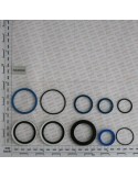 CYL.GASKET KIT 14217510