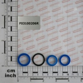 CYL.GASKET KIT 16912490