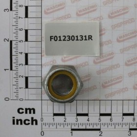 Maschio Gaspardo PIULITA M20X2,5 D982 6ZN F01230131R