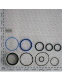 KIT O-RING  CYLINDER 14217511