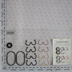 GEAR PUMP KIT O-RING 22L