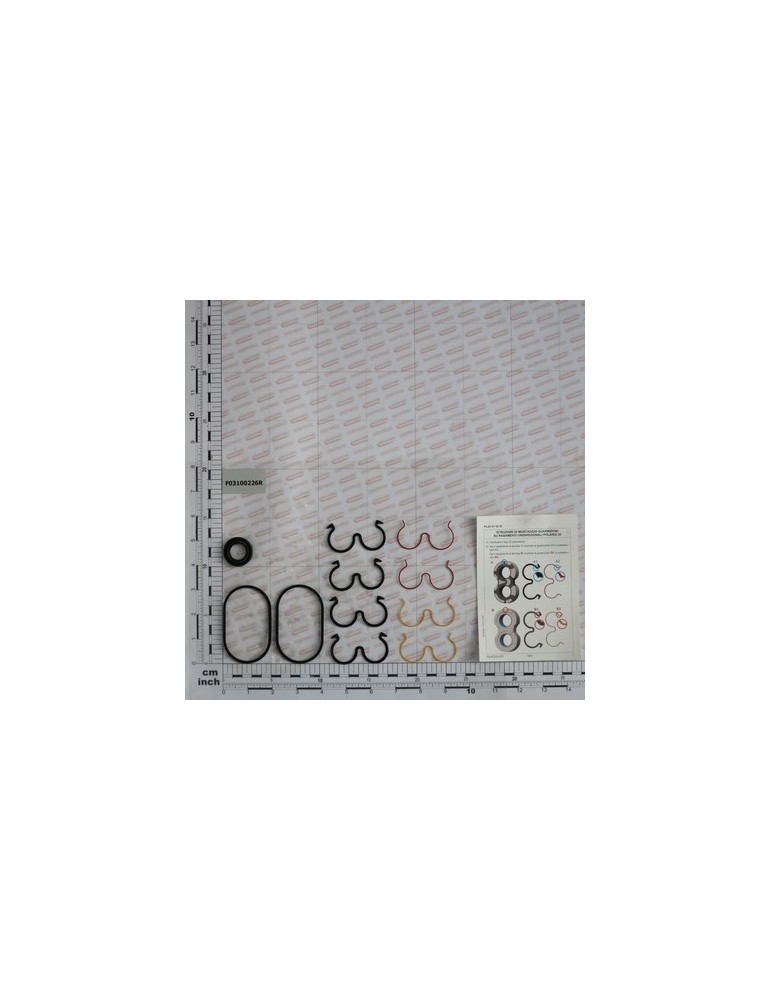 GEAR PUMP KIT O-RING 22L