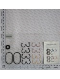 GEAR PUMP KIT O-RING 22L