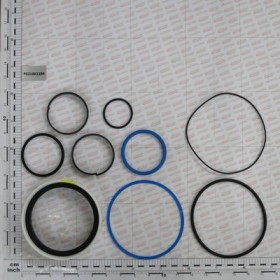 KIT O-RING  CYLINDER 16115670