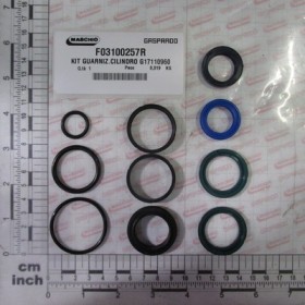 KIT O-RING  CYLINDER G17110960