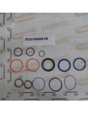 KIT O-RINGS CYL.16115670 D-140