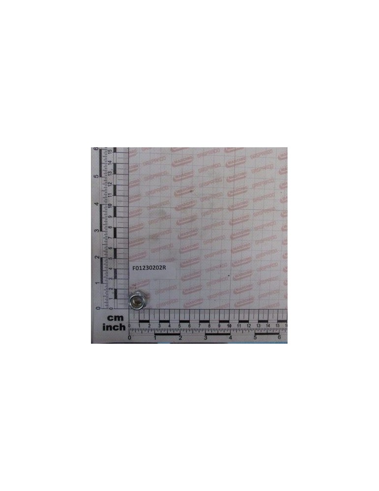 Maschio Gaspardo VEZI 00553601 F01230202R