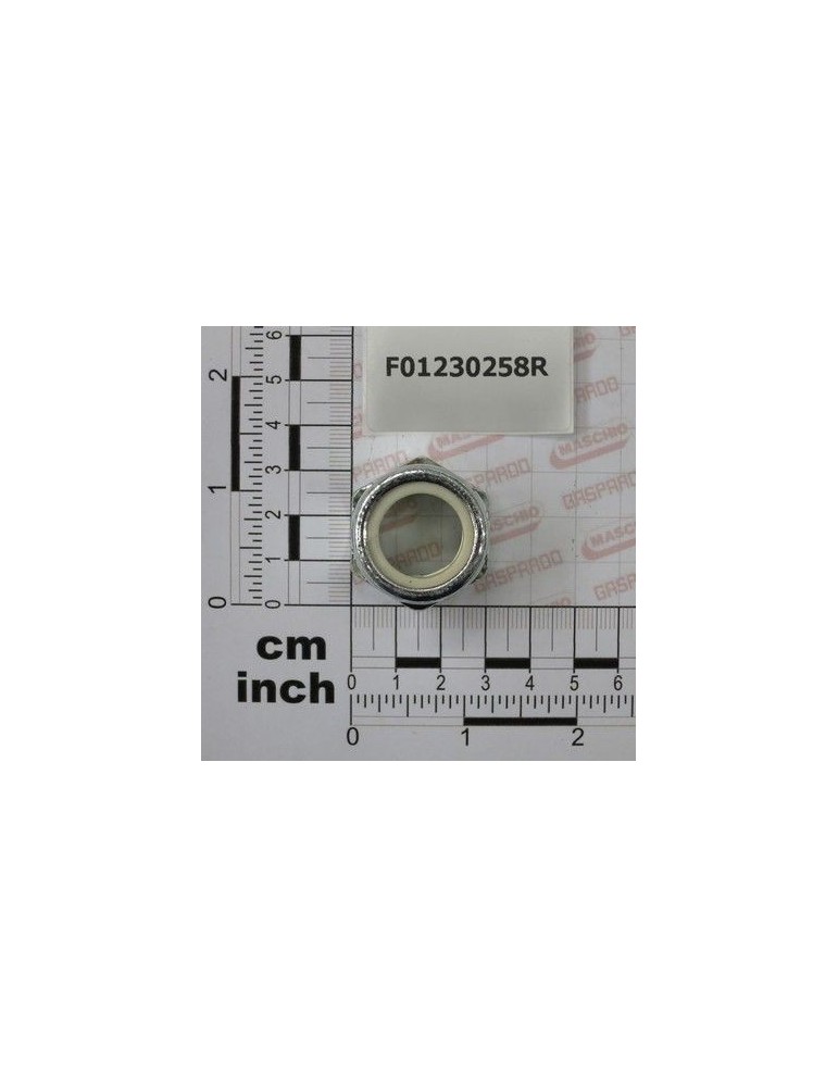 Maschio Gaspardo PIULITA AUTOBL.M20X1,5 D982 6S F01230258R