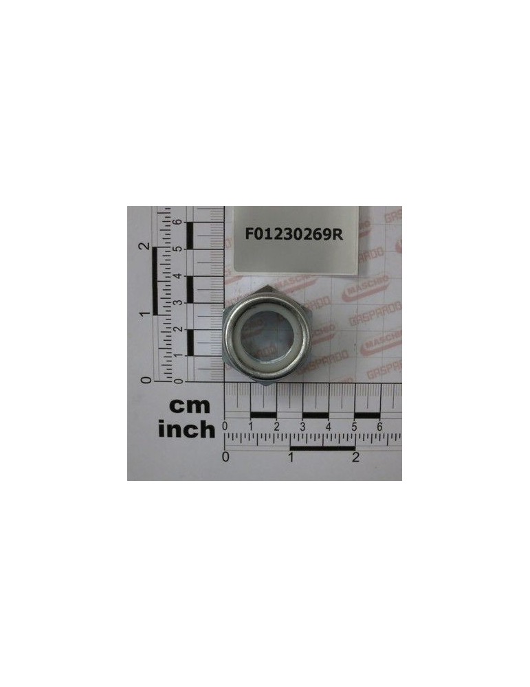 Maschio Gaspardo PIUL.AUTOBL.M22X1,5 D985 6S ZN F01230269R