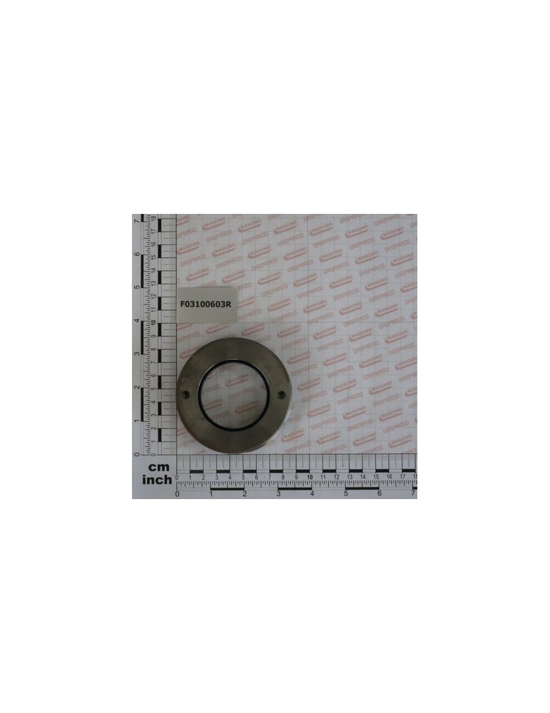 KIT OIL SEAL
