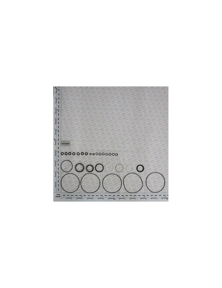 KIT GASKET.HPS MOTOR BR050