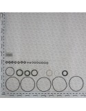 KIT GASKET.HPS MOTOR BR050