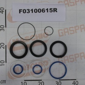 KIT O-RING  CYLINDER GA5912070