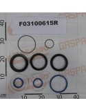 KIT O-RING  CYLINDER GA5912070