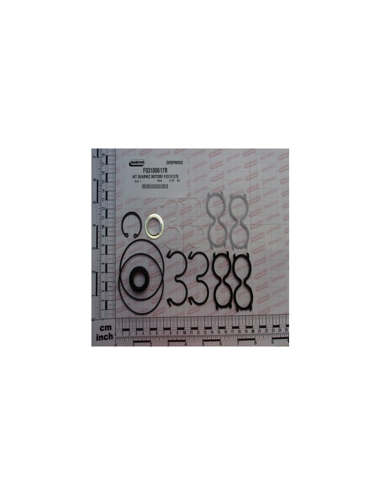 KIT O-RING MOTOR F03151378