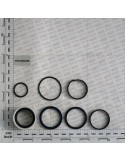 KIT O-RING  CYLINDER G14219220