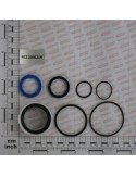 KIT O-RING  CYLINDER G17612800