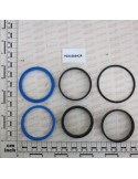 WASHER KIT CYLINDER R17814564