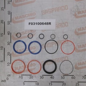 KIT O-RING  CYLINDER G16112100