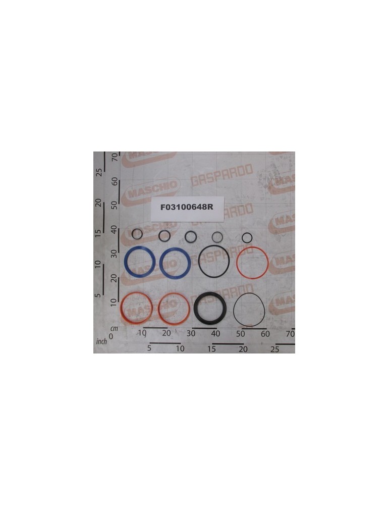 KIT O-RING  CYLINDER G16112100