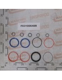 KIT O-RING  CYLINDER G16112100