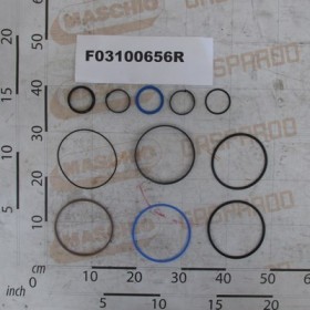 KIT GASKET CYLIND.M32700542  -