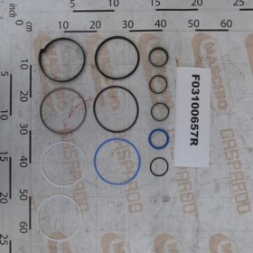 KIT GASKET CYLI.M32700541