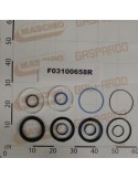 KIT GASKETS CYLINDER M32700343