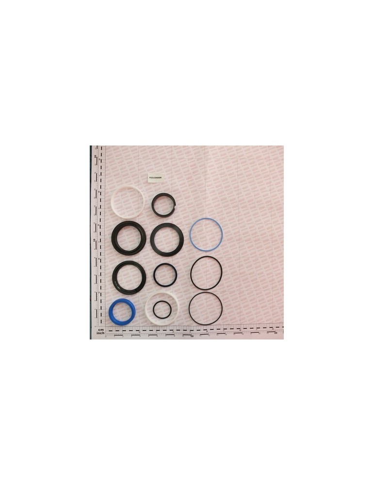 KIT GASKETNI - R18115140/150
