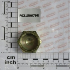 1\'\' FEMALE ZN PLUG