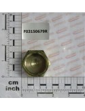 1\'\' FEMALE ZN PLUG