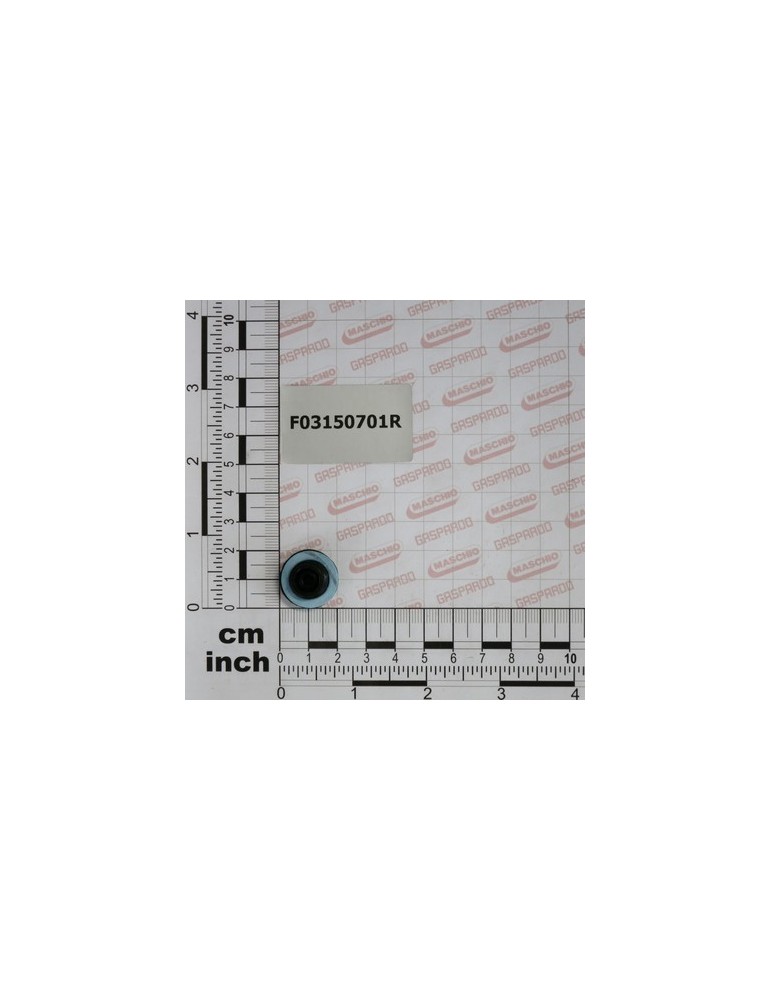 OIL PLUG 1/4 GAS TC2