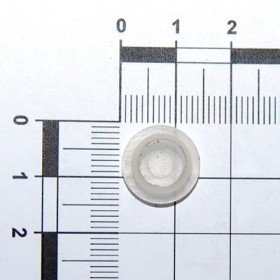PLUG GPN 300 F5