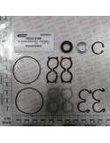 GASKET KIT FOR F03151017