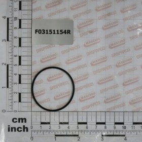 OR GASKET FOR MOTORE 67007449