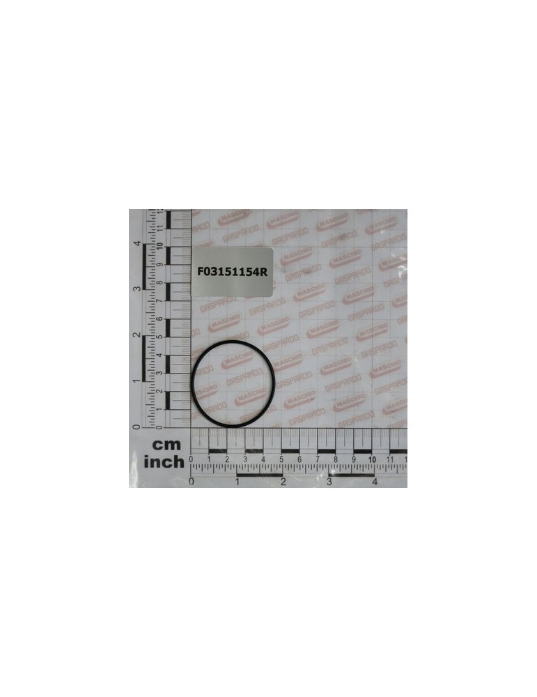 OR GASKET FOR MOTORE 67007449