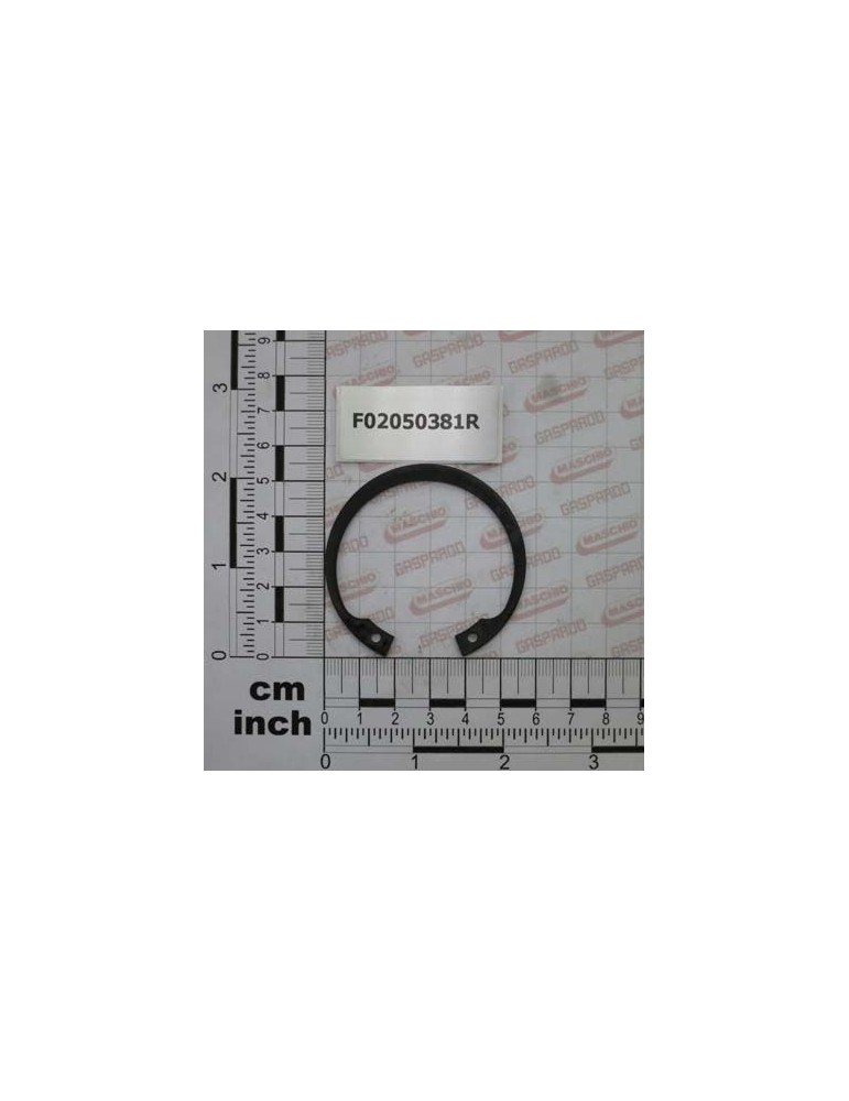 Maschio Gaspardo INEL E. 52X 2 U7437 C70 F02050381R