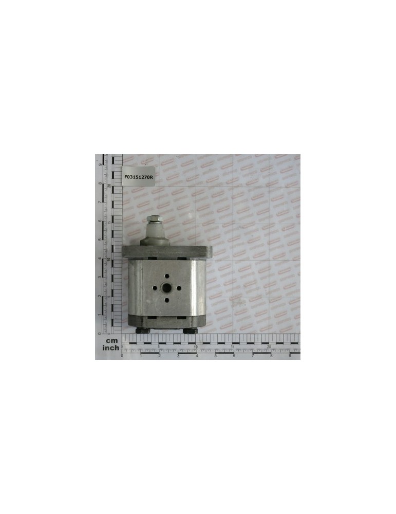 GEAR PUMP 17 L.LEFT (1000G.)