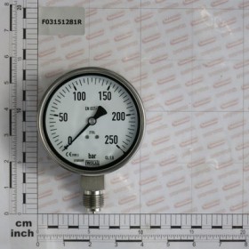 GAUGE 250 BAR ATT.1/2\'D100