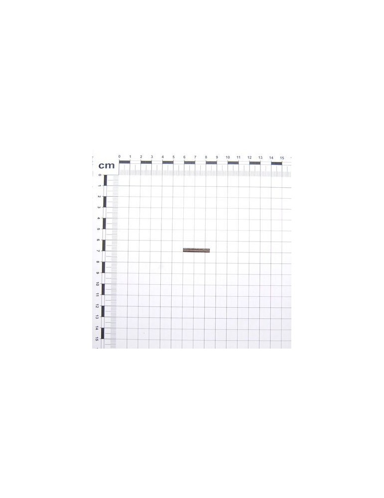 Maschio Gaspardo STIFT E.D. 3 X24 U6873 C70 BR F02100034R