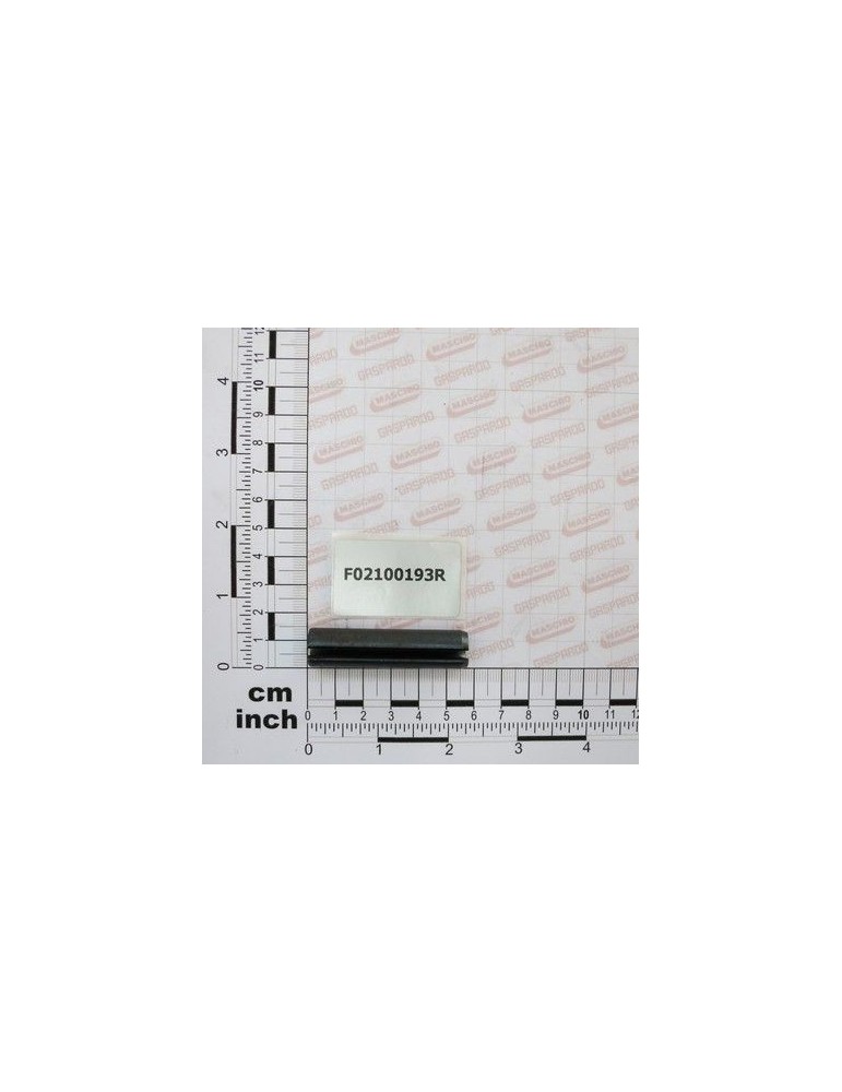 Maschio Gaspardo STIFT E.P. 13X55 F02100193R