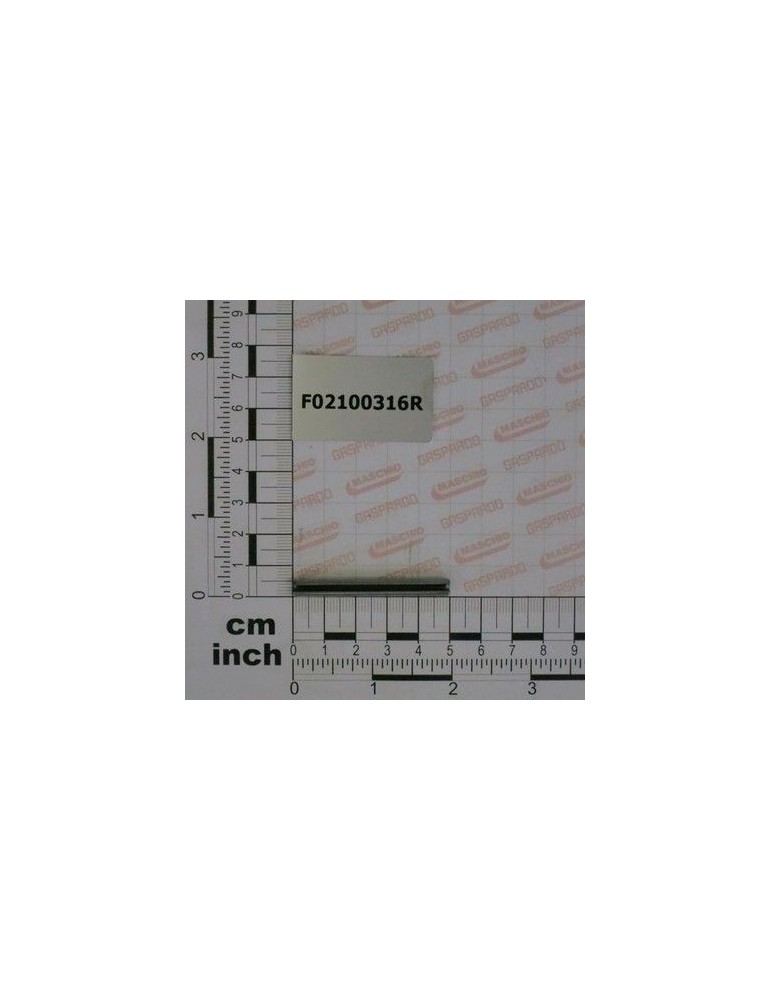 Maschio Gaspardo SIGURANTA EL.5 X50 DIN 1481 I F02100316R